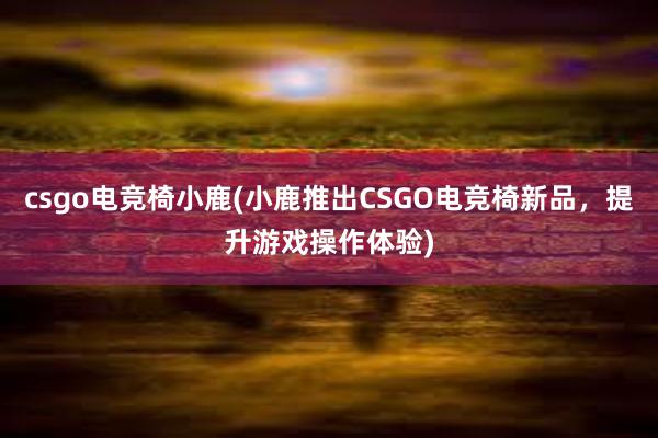 csgo电竞椅小鹿(小鹿推出CSGO电竞椅新品，提升游戏操作体验)