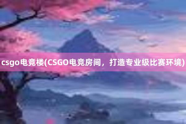 csgo电竞楼(CSGO电竞房间，打造专业级比赛环境)