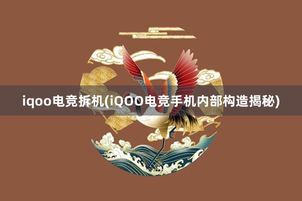 iqoo电竞拆机(iQOO电竞手机内部构造揭秘)