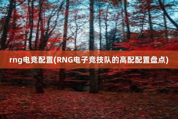 rng电竞配置(RNG电子竞技队的高配配置盘点)