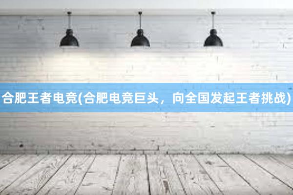 合肥王者电竞(合肥电竞巨头，向全国发起王者挑战)