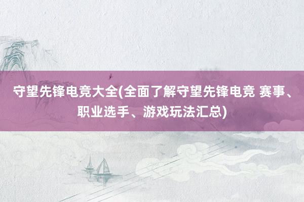 守望先锋电竞大全(全面了解守望先锋电竞 赛事、职业选手、游戏玩法汇总)