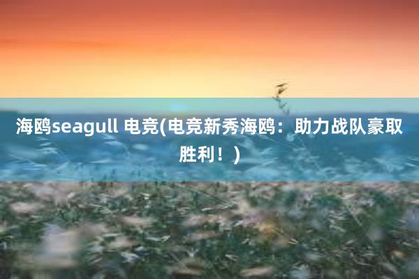 海鸥seagull 电竞(电竞新秀海鸥：助力战队豪取胜利！)