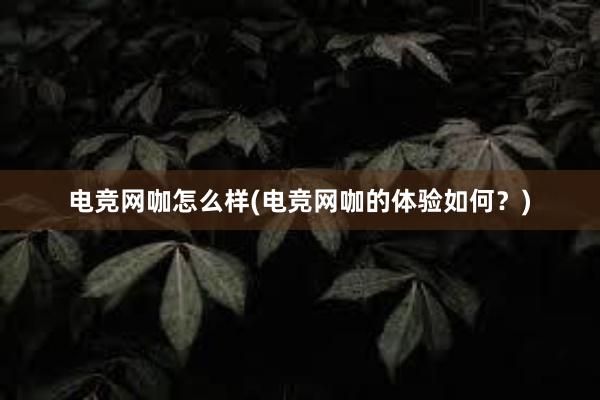 电竞网咖怎么样(电竞网咖的体验如何？)