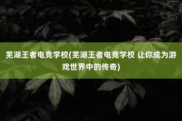 芜湖王者电竞学校(芜湖王者电竞学校 让你成为游戏世界中的传奇)