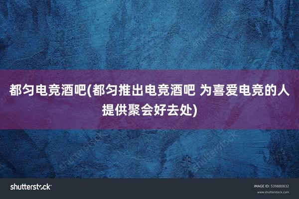 都匀电竞酒吧(都匀推出电竞酒吧 为喜爱电竞的人提供聚会好去处)