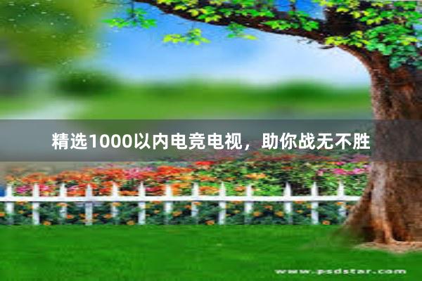 精选1000以内电竞电视，助你战无不胜