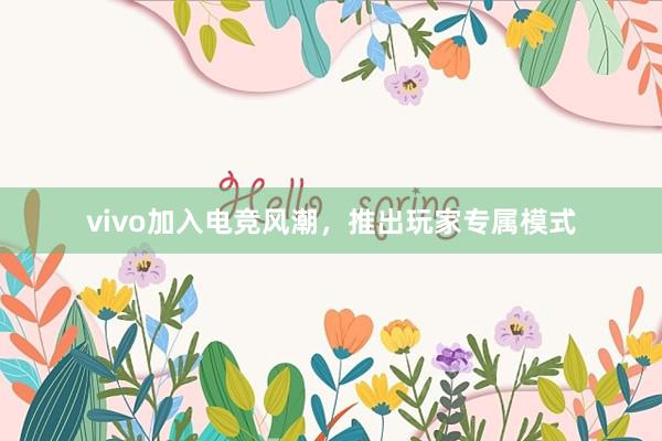 vivo加入电竞风潮，推出玩家专属模式