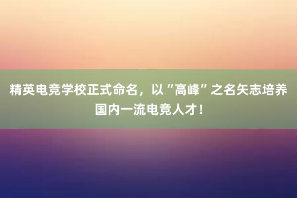 精英电竞学校正式命名，以“高峰”之名矢志培养国内一流电竞人才！