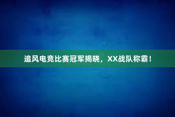 追风电竞比赛冠军揭晓，XX战队称霸！