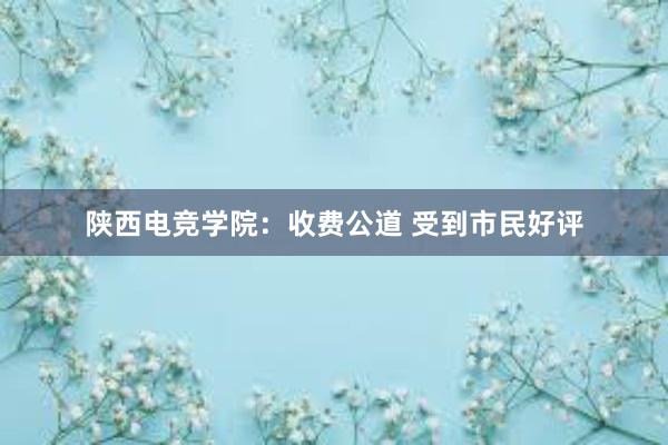 陕西电竞学院：收费公道 受到市民好评